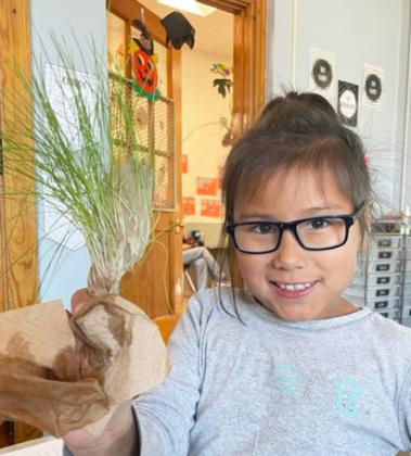2nd graders grow Grass Heads