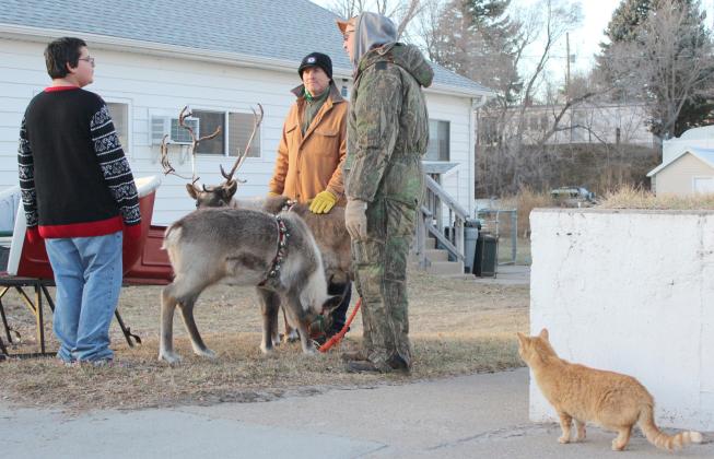 Hunter Gray visits the reindeer and with Bryan Miller and Flip Licking while Sadie Deibler the cat inspects her neighborhood visitors