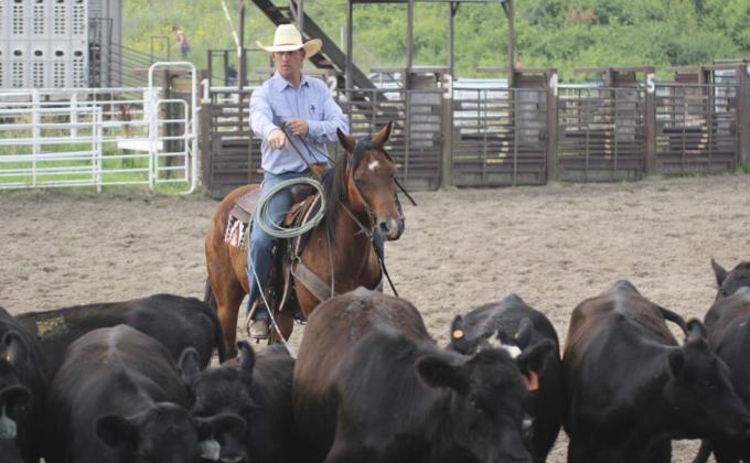 Josh Call of the Warren Ranch team finds one of his team’s heifers in the team sorting event at the Mullen Ranch Rodeo. Gerri Peterson