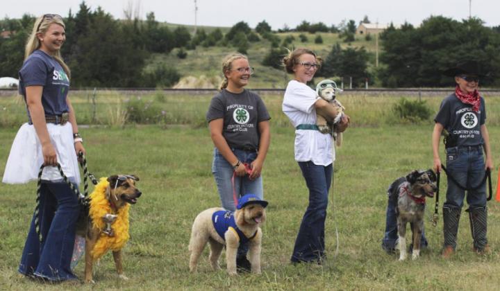 Faith Miller and Sassy won the Best Dressed Pet competition at the Small Animal Show. Pictured l-r: Faith Miller, Riley Hegland, Hope Miller, Oakes Miller. Gerri Peterson