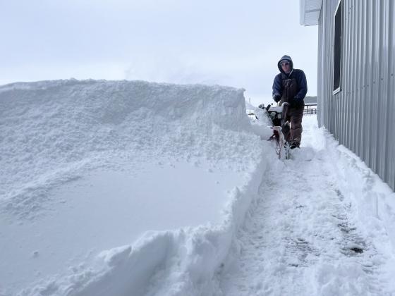 How do you eat an elephant... or a snowdrift bigger than your snowblower? A little at a time! Dane Peterson is pictured working on clearing the sidewalks at the Hooker County Community Center last Thursday morning. Gerri Peterson