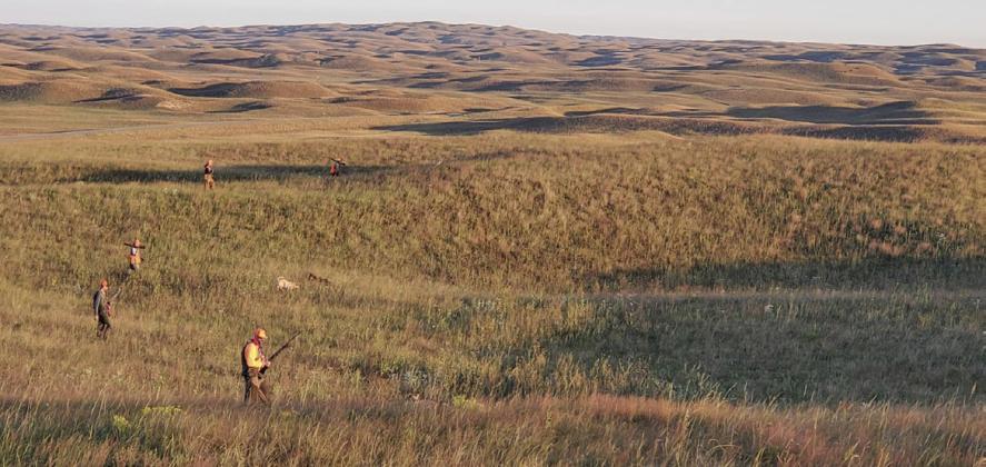 The Yellow Dog Team during the 2022 Sandhills Sharptail Shootout hunt in September.