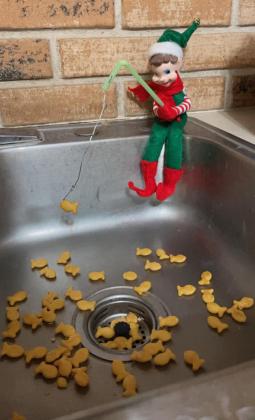 Elf on the Shelf entries due now!