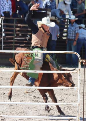 Action-packed entertainment at Herd Bull University Rodeo