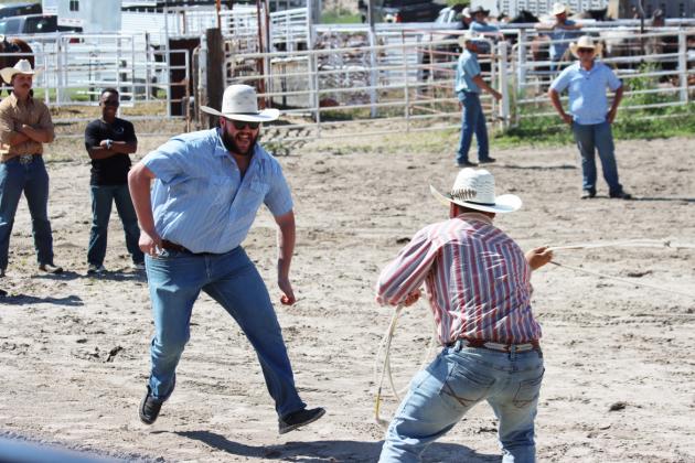 Action-packed entertainment at Herd Bull University Rodeo