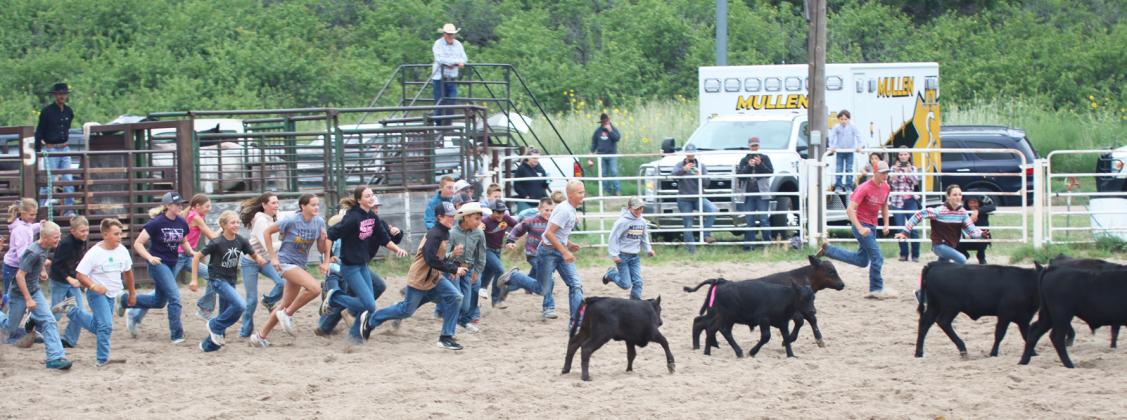 The calf scramble was new this year at the Mullen Ranch Rodeo, where 38 kids participated. Gerri Peterson