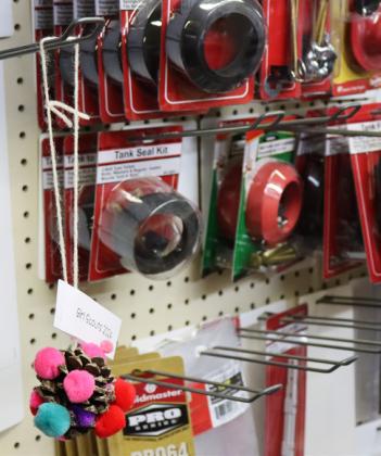 Look closely around town, you never know where a Girl Scout ornament is going to show up! This one was spotted at Handyman Hardware.