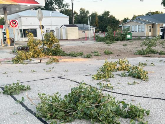 Many places looked like the Kwik Stop diesel pumps area with branches down everywhere. Gerri Peterson
