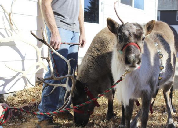 Comet and Dasher visit Lots of Love Day Care