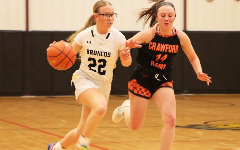 Riley Hegland brings the ball up the court last Friday in the subdistrict final game against Crawford. Carolee Brown Photography