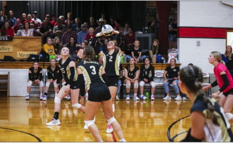 All eyes in the gym at Tryon were on the ball as Kalli Licking sets for the Broncos last Thursday. Megan Andersen