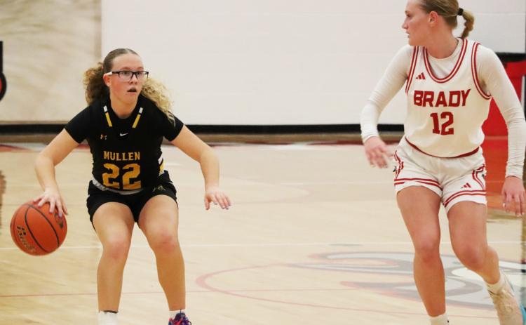 Riley Hegland brings the ball up the court at Brady. Sue Licking