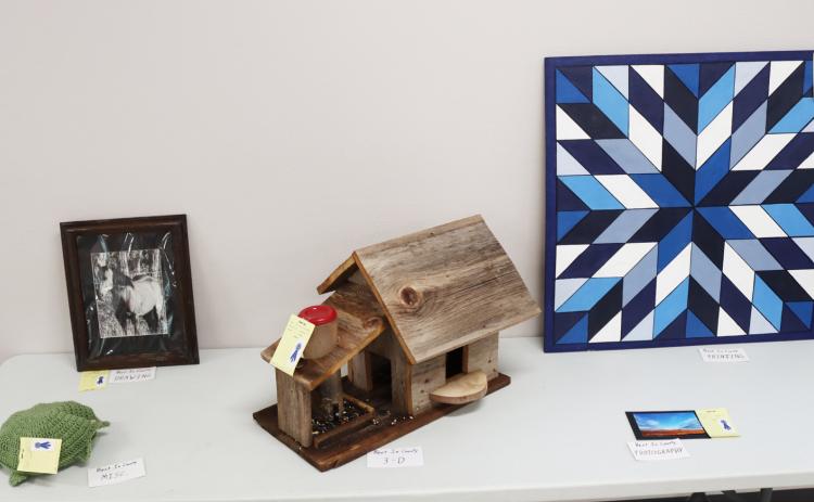 Best in County exhibits - see story below for details on each item. Gerri Peterson