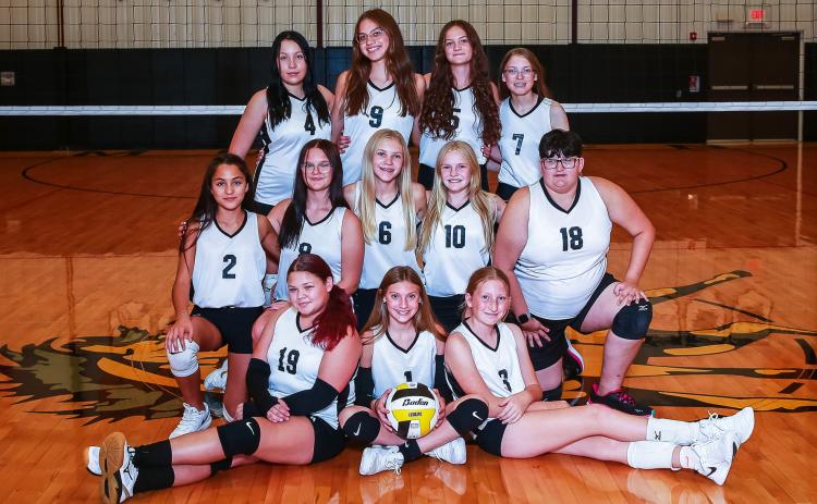 The Mullen Junior High volleyball A team is 2-4 and the B team is 1-4 so far this season. They have a home game next Monday, Oct. 6 against Hyannis and then a four-team tournament in Thedford on Oct. 20. Pictured back, l-r: Annabelle Casillas, Yasmine Alarcon, Ava Kvanvig, Chloe Wiese. Middle: Luciana Gonzalez, Jocelyn Oliveira, Hadley Marsh, Ava Walz, Pandora Gray. Front: Bella Coetzee, Olivia Cox, Kendall Vinton.