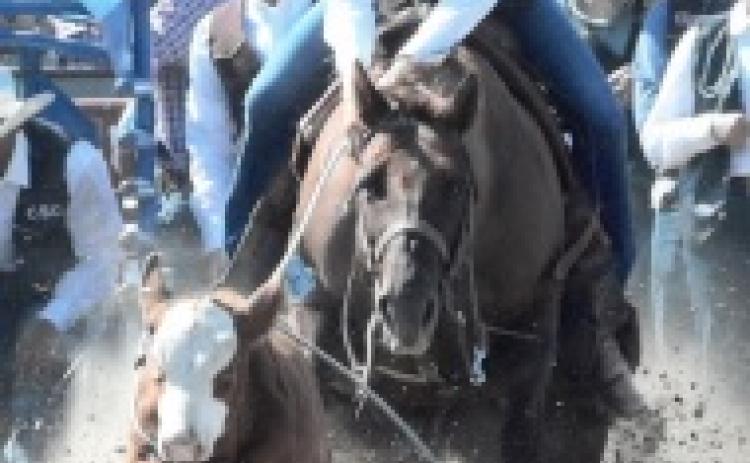 Catching up in the arena with local cowgirls and cowboys