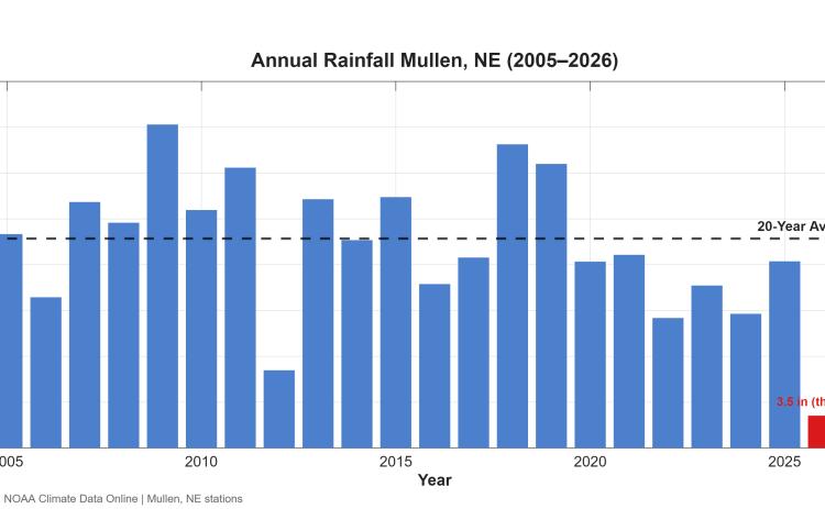Annual rainfall