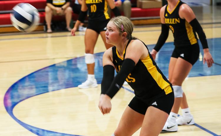 Senior Hayley Donohoe with a pass last week at Arnold. Megan Andersen