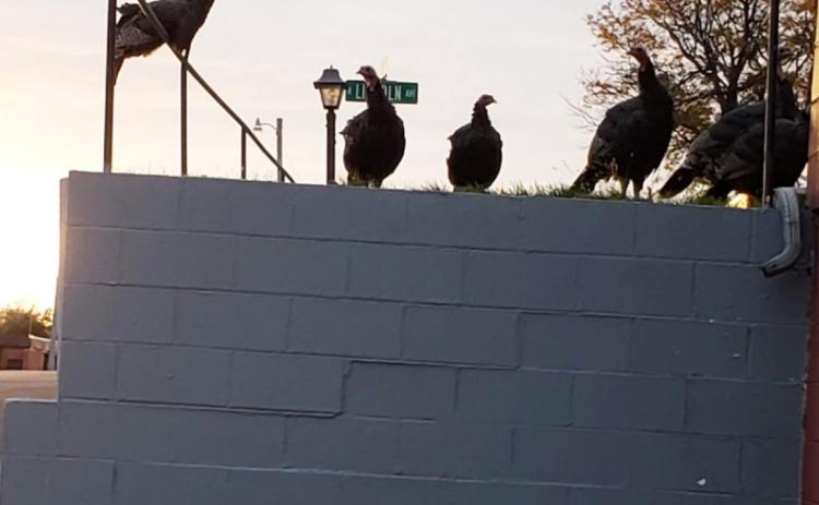 Happenings on the Hill