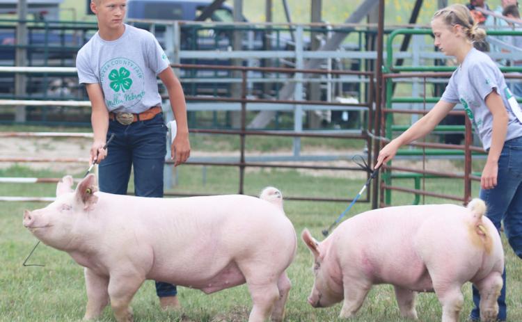 Teal Peterson with his Overall Grand Champion Swine and Addison Plummer and her Overall Reserve Champion Swine. Gerri Peterson