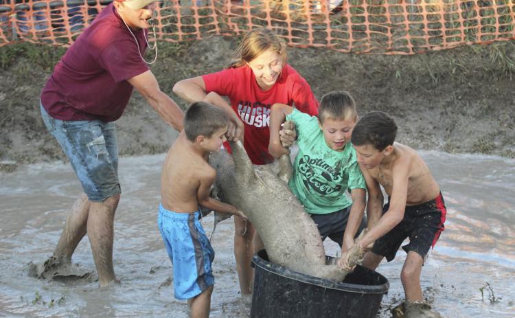 With a little assistance from Lance Moore, Tru Mundorf, Adaline Ardnt, Bronson Ardnt and Brandt Mundorf get their pig into the barrel last Saturday. Gerri Peterson