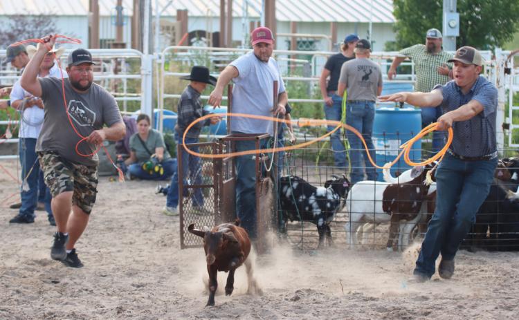 Dan Vest and Josh Cox competing in the goat roping. Gerri Peterson