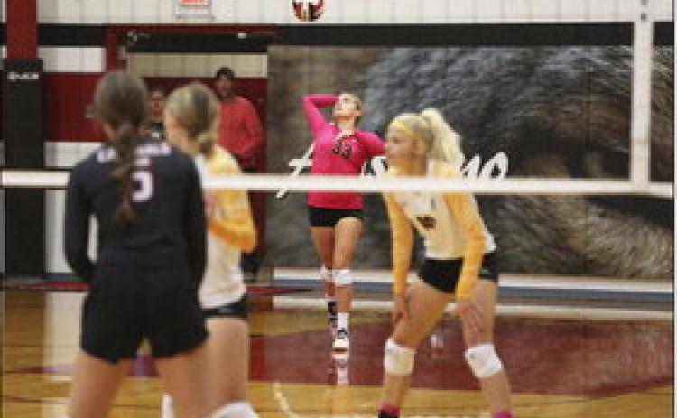 Lady Broncos compete at A-M Invite