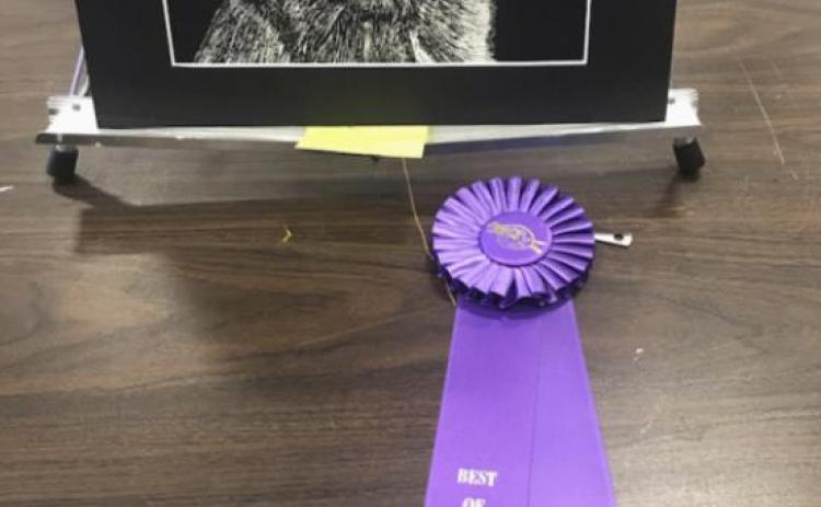 Cayden Hampton’s Junior High Best of Show piece.