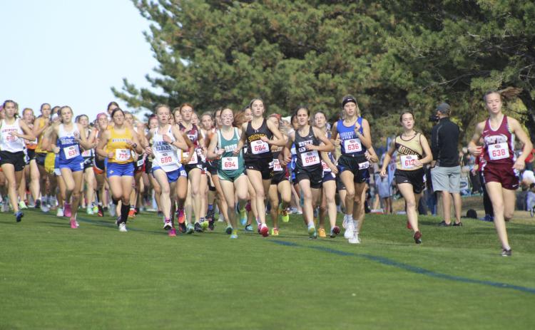 Peyton Paxton at the start of the Class D Girls State Cross Country. Alex Moore