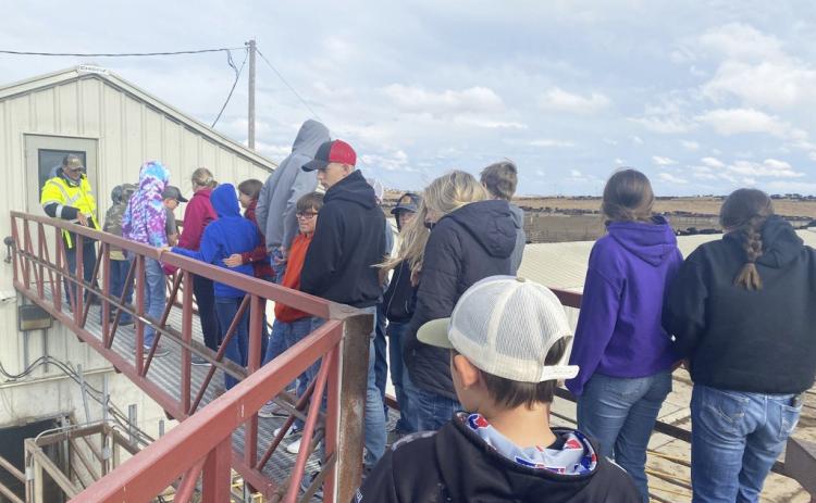 HAL students at Adams Land and Cattle.