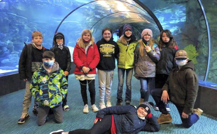 Fifth graders in the shark tunnel at the zoo, where they spent the night! Pictured back, l-r: Colby Kessler, Ben Werner, Chloe Newman, Jenna Donohoe, Brynne McCully, Lola Wingebach, Liberty Edington. Front: Cian Connealy, Emerson Thorberg, Andrew Byrd.