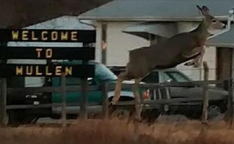 Welcome to Mullen!