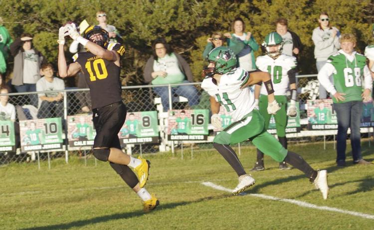 Jaden Emerson had 210 receiving yards last week against Loomis. Pam Ginkens