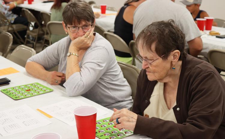 Sisters Eva Crawford and Jo Robinson playing Bingo. Gerri Peterson