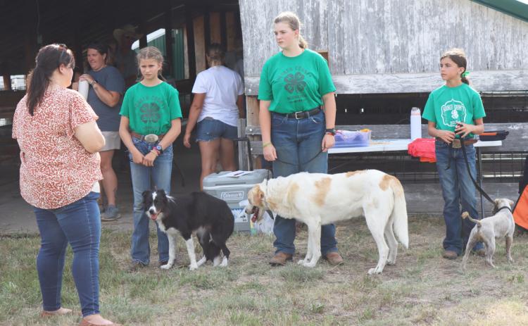 Small Animal Show judge Amanda Lott talks to Rainne O’Brien, Adelyn O’Brien and Finley Mundorf (pictured l-r). Gerri Peterson