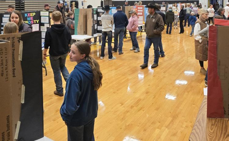 Maci Walz is overall Science Fair winner