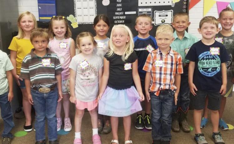 Kindergarten Roundup held