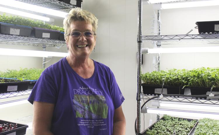 Prairie Wilde Gourmet Greens & Products is new business