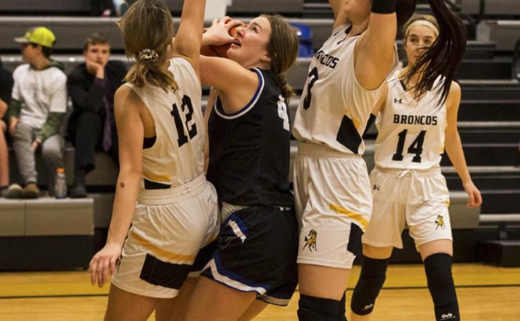 Medora DeNaeyer and Shelby Welsh defend a Hershey shot. Megan Andersen
