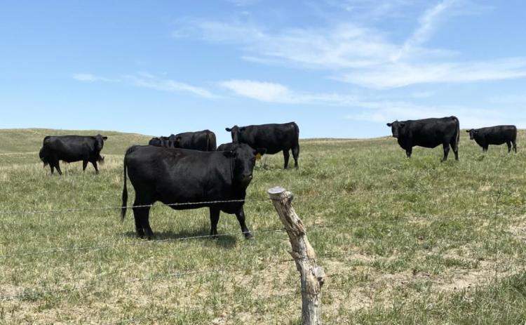 Samuel Coble will once again spend his summer on the fence line. Samuel Coble