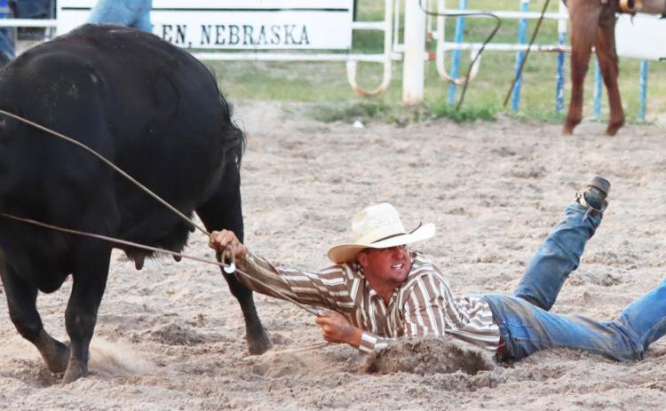 The Wild Cow Milking proved to be a bit wild! Tell Spies is drug along in the arena, while looking for assistance from one of his team members to get the rope off the cow. Gerri Peterson