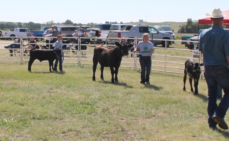 L-r: Rainne O’Brien, Marcus Lattin, Tatum Deibler, Finley Mundorf (hidden) and Duke Miller in the junior beef showmanship class.