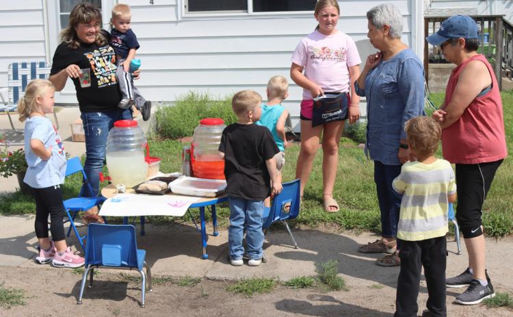 Sisters Bridget Barron and Catherine Sullivan stopped by the Lots of Love Day Care lemonade stand during fair week, where the offerings were not only traditional lemonade, but strawberry lemonade and baked goods as well. Gerri Peterson