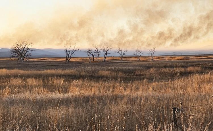 Despite little wind, last week’s fire still moved quickly. Todd Yost