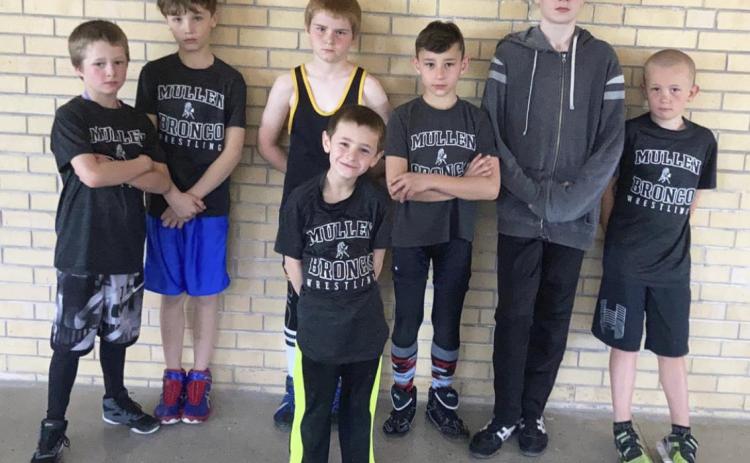 Youth wrestlers qualify for state