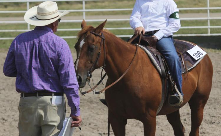 Kassidy Cheever listens to the judge at the 4-H Horse Show. Gerri Peterson