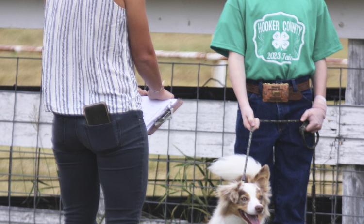 Oakes Miller talks to the judge during the 4-H Small Animal Show. Gerri Peterson