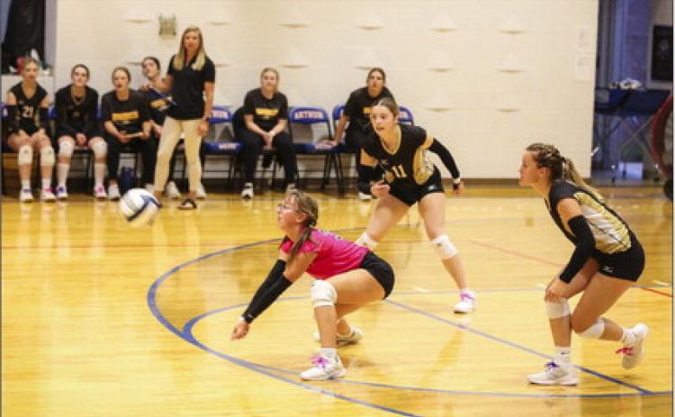 Malia Oltmer, playing libero last Thursday in Arthur, with a dig. Megan Andersen