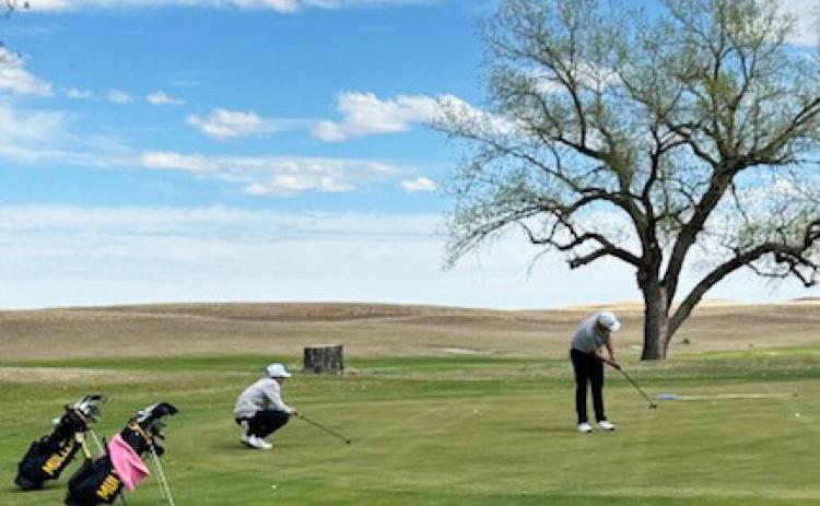 Broncos Jacob Walker and Ben Werner had to have a playoff hole in Thedford to determine the first place finisher - Walker won the playoff with a par. Clint Svoboda