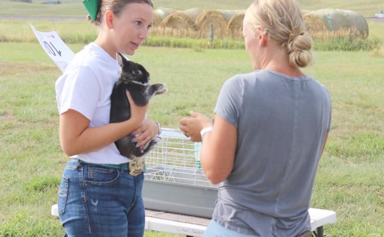 Hope Miller with her companion animal Chester the rabbit. Gerri Peterson