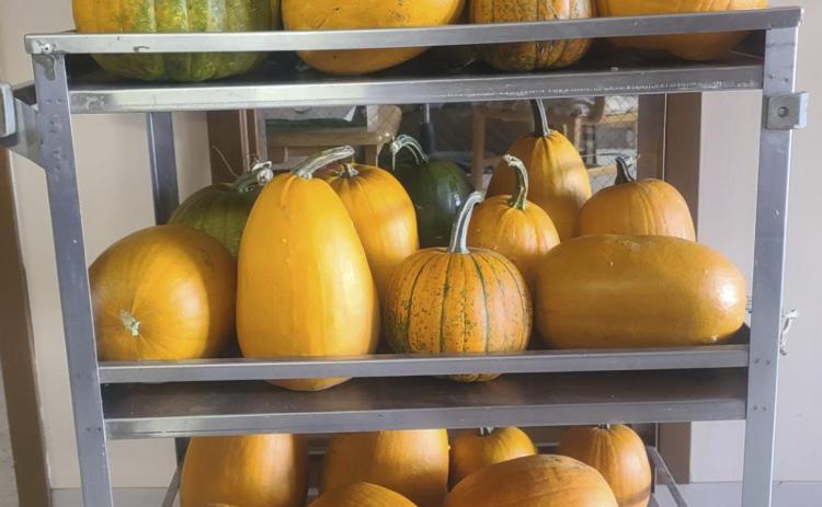 Pumpkins donated from Kristina Blackford and family! Oh what will we do with them? Thank you, we appreciate your thoughtfulness.